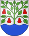 Coat of arms of Egnach
