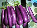 Eleven long purple eggplants