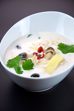 Flickr preppybyday 4711943668--Tom kha gai