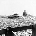 Floating wreckage, Galveston hurricane, 1900