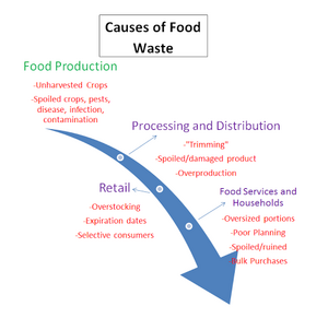 Food Waste Process