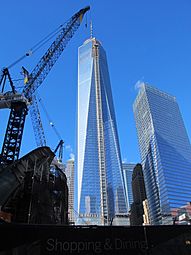 Freedom tower in costruzione, gennaio 2014