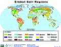 Global soils map USDA