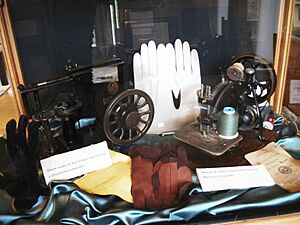 Glove Display