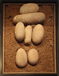 Israel Museum Stone Age