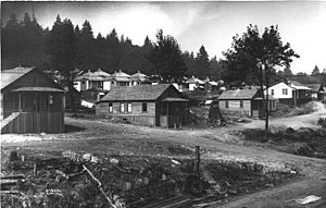 Issaquah miners homes 1913