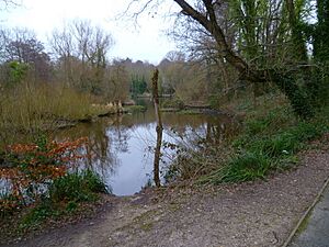 Itchen Way (4) (geograph 3353269)