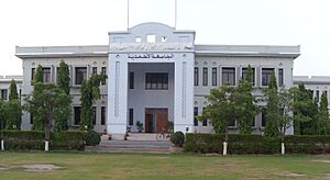 Jamia Ahmadiyya, Rabwah