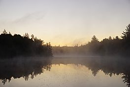 Kinwamakwad Lake (Long Lake) in the early morning. The sun is rising but not yet visible and a thin layer of steam fog lays over the water surface.