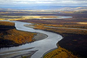 Koyukuk River autumn.jpg