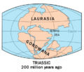Laurasia-Gondwana
