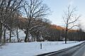 Lost Lane Farm wooded hillside