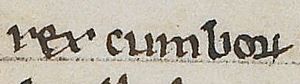 Máel Coluim mac Domnaill (British Library MS Cotton Faustina B IX, folio 9r)
