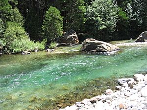Middle Fork Kings River - panoramio.jpg