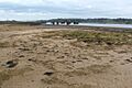Milton Island - geograph.org.uk - 1805787