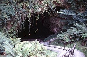 Mitchelstown Cave (geograph 6008645)