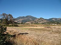 Mount Saint Helena (2007-10-08)