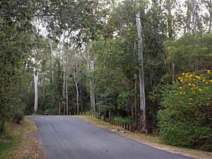 Murrays Road, Tanah Merah, Queensland