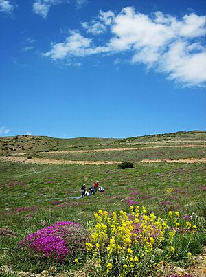 Nature between Golestan and Semnan Province.jpg