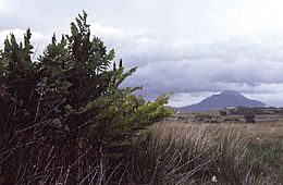 Near Roonagh Quay looking towards Croagh Patrick. - geograph.org.uk - 71331