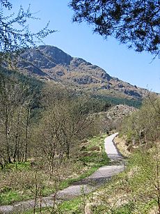 Old Military Road leading to Rest and be Thankful, Argyll - geograph.org.uk - 47904