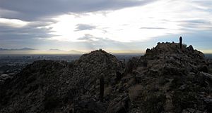 Phoenix panorama