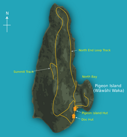 Pigeon Island (New Zealand) with details - 01.png