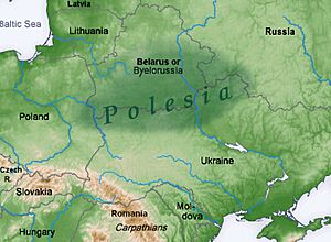 Polesia map - topography