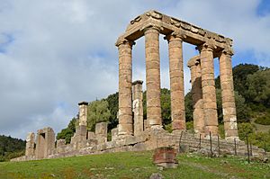 Punic-Roman Temple of Antas.jpg