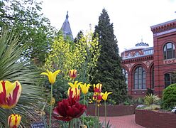 Ripley Garden in April (17427532280)