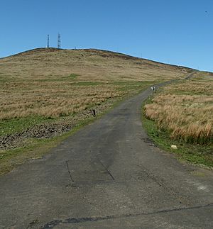Road to Divis Mountain - geograph.org.uk - 1252885
