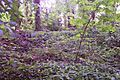 Rubble-ruins-Worcester-Park-House-03