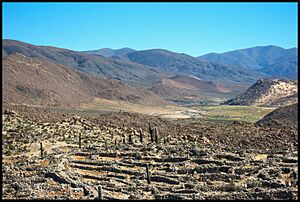 Ruinas Tastil