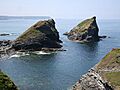 Samphire Island - geograph.org.uk - 189805