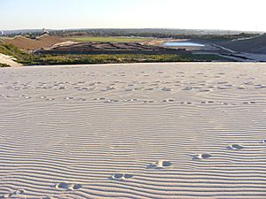 Sand Dunes in the Sutherland Shire, Sydney 2