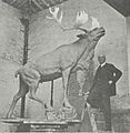 Sculptor Basil Gotto With His Caribou Statue ca1921