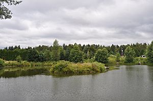 Seattle - Meadowbrook Pond 02