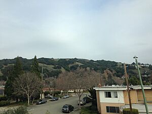 Sheffield Village, Oakland, CA, USA - panoramio