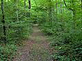 Sinkhole-trail-norris-tn1