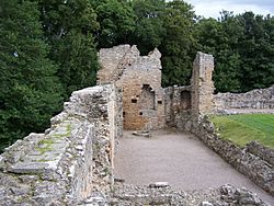 Spynie early-castle