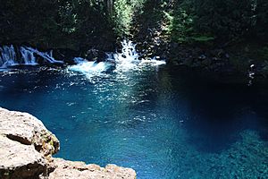 Tamolitch-falls-blue-pool-by-Natalie-inouye-17