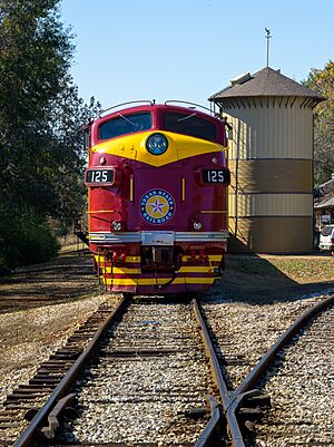 Texas State Railroad No. 125 - November 2019.jpg