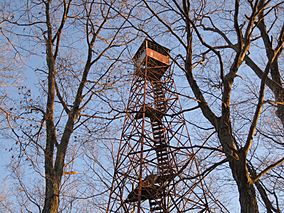 Tick Ridge Fire Tower.jpg