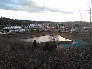 Totem Lake, Kirkland, WA, USA - panoramio.jpg