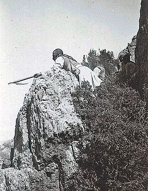Tribesman in Hazara with the Enfield Musket, Black Mountain Expedition 1888.jpg