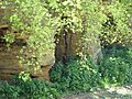 Valley Farm Pit, Sudbourne 4