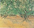 Van Gogh - Olivenbäume