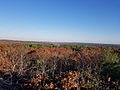 View from Tippling Rock in Sudbury Massachusetts near Nobscot Hill Reservation toward Boston in the east