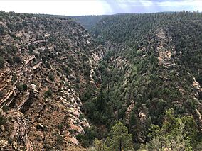 Walnut Canyon Natl Monument.jpg