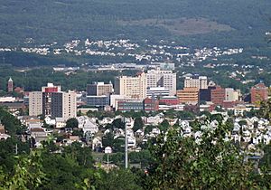 Wilkes Barre Panorama